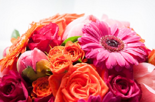 A picture of a bouquet of bright pink flowers