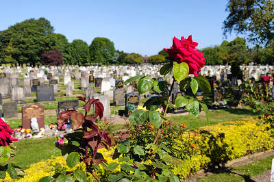 Cemetery