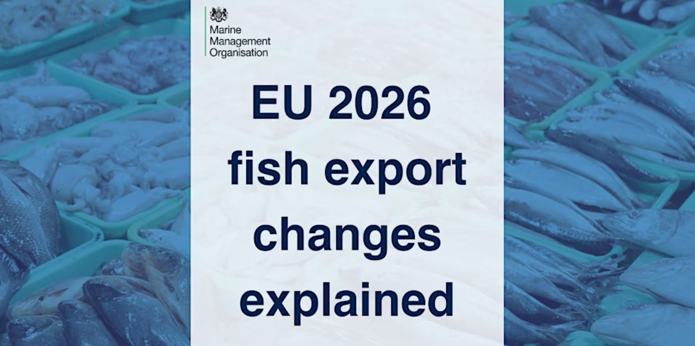 Eu 2026 fish export changes explained hull