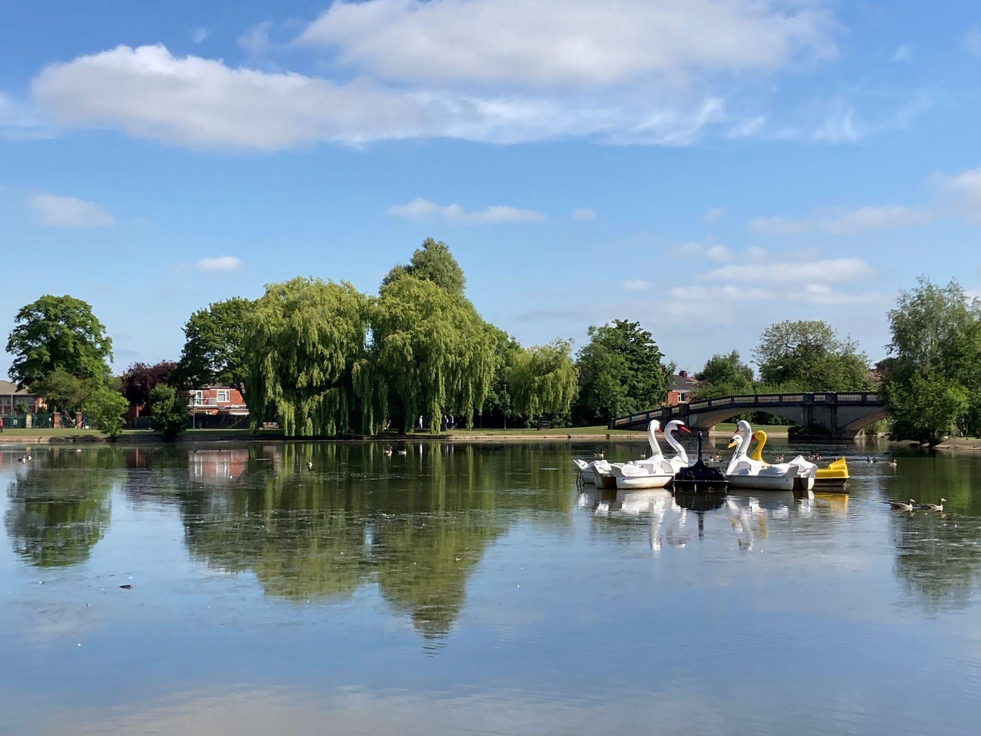 A photograph of East Park lake with swan boats floating