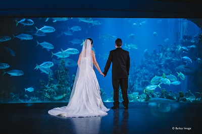 a couple in front of a fish tank