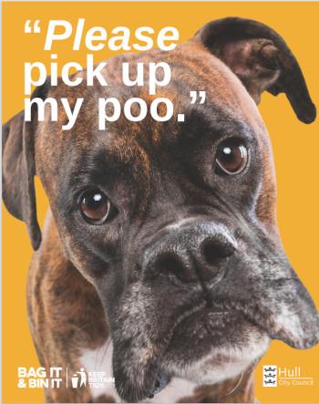 A poster showing a dog quoted as "Please pick up my poo"