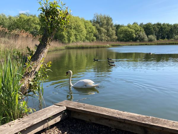 fishing lake