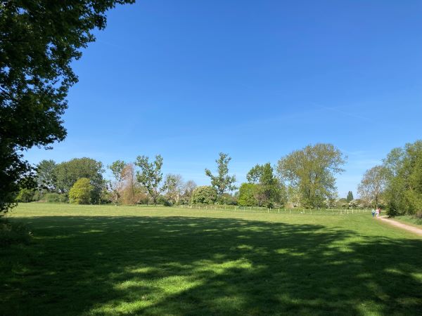 park